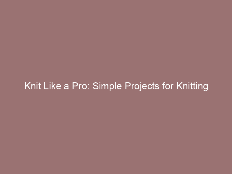 Knit Like a Pro: Simple Projects for Knitting Newbies